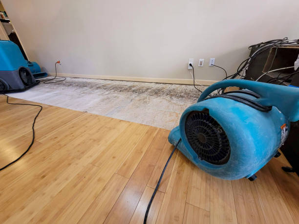 Professional Water Extraction technician working in Alpha, NJ